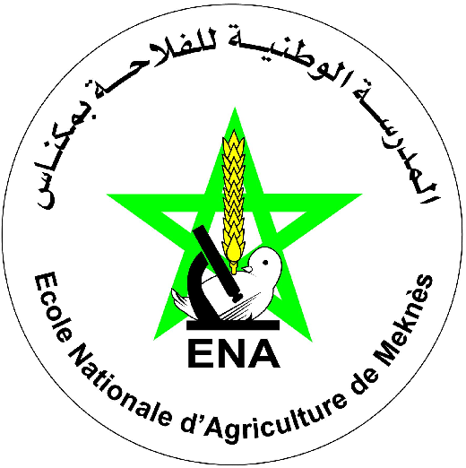 مباراة لتوظيف مهندس دولة من الدرجة الأولى – سلم 11